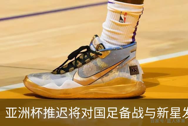 亚洲杯推迟将对国足备战与新星发展产生重要影响